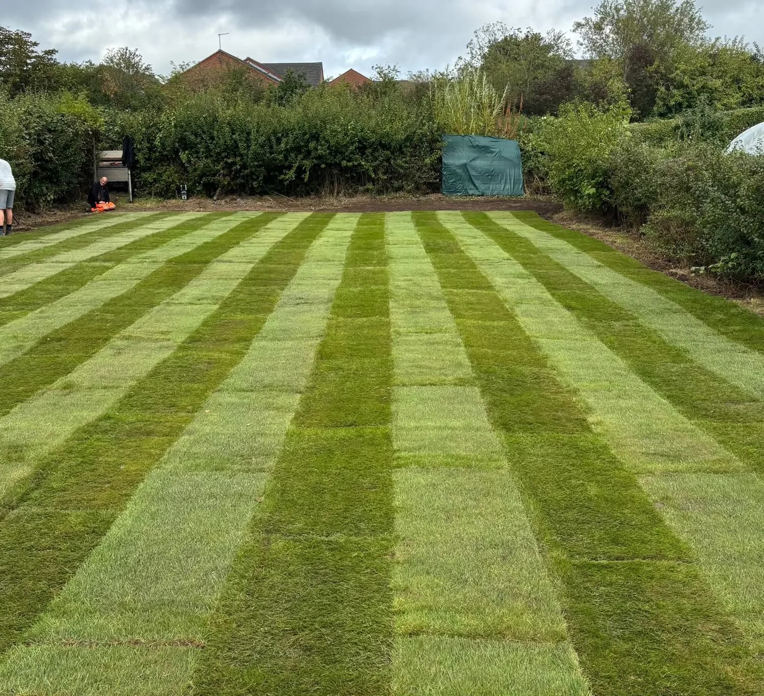 Complete Lawn Installation - After
